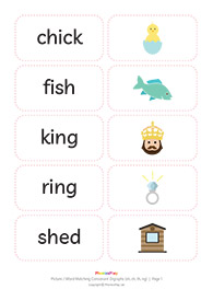 Picture / word matching cards